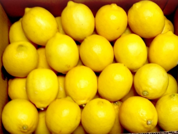 Lemon (yellow) in carton