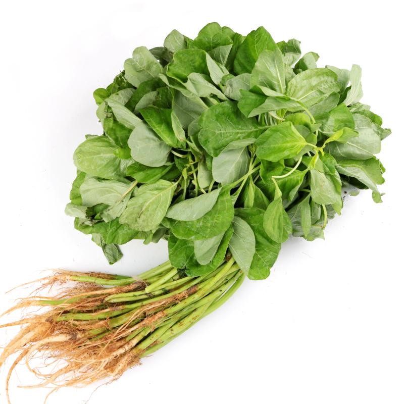 Japanese Spinach 220g+/ Vegetable Wholesaler CCL IMPEX