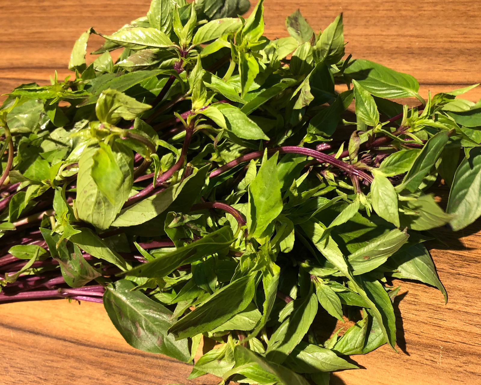 Thai Basil CCL IMPEX