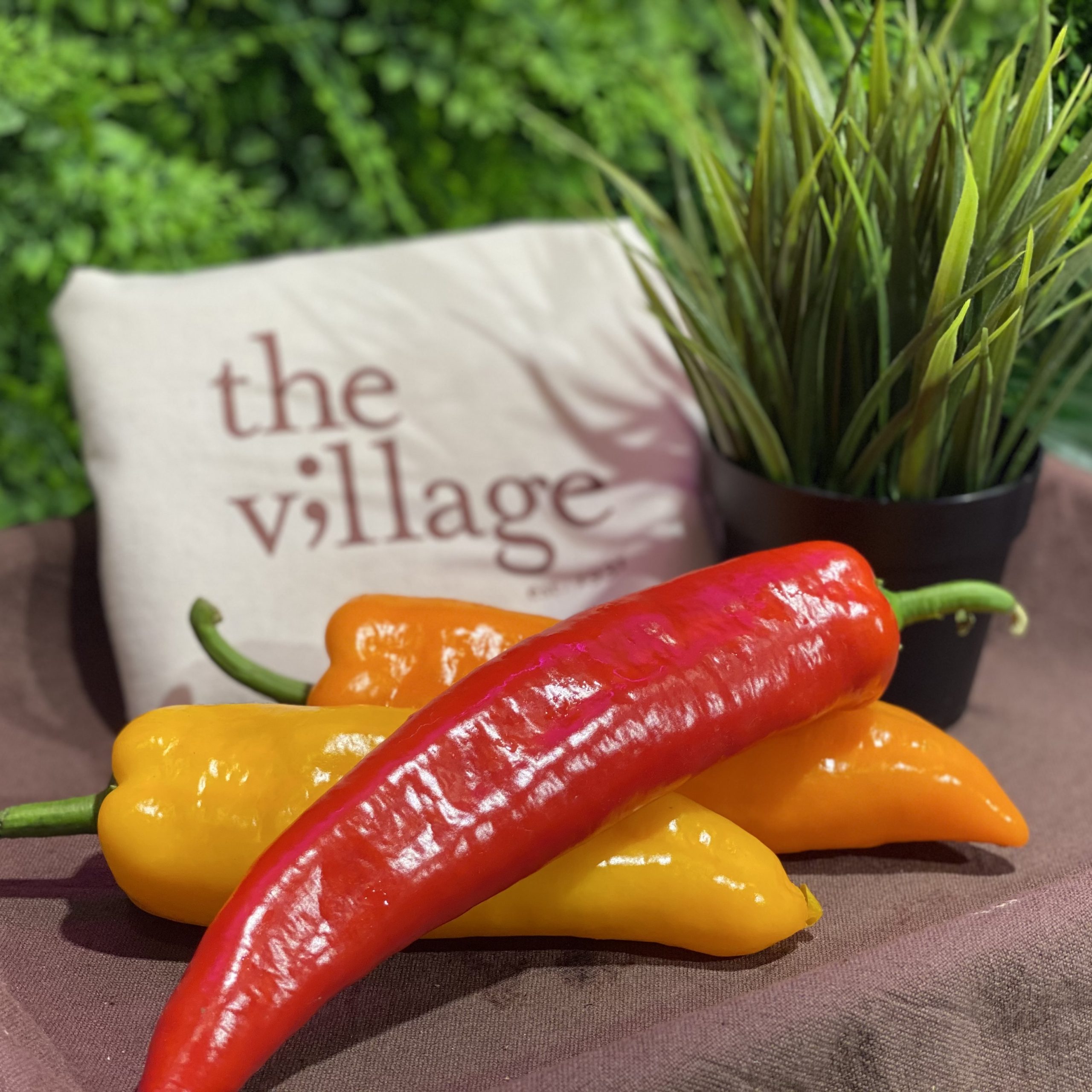 palermo pepper Vegetable Wholesaler CCL IMPEX