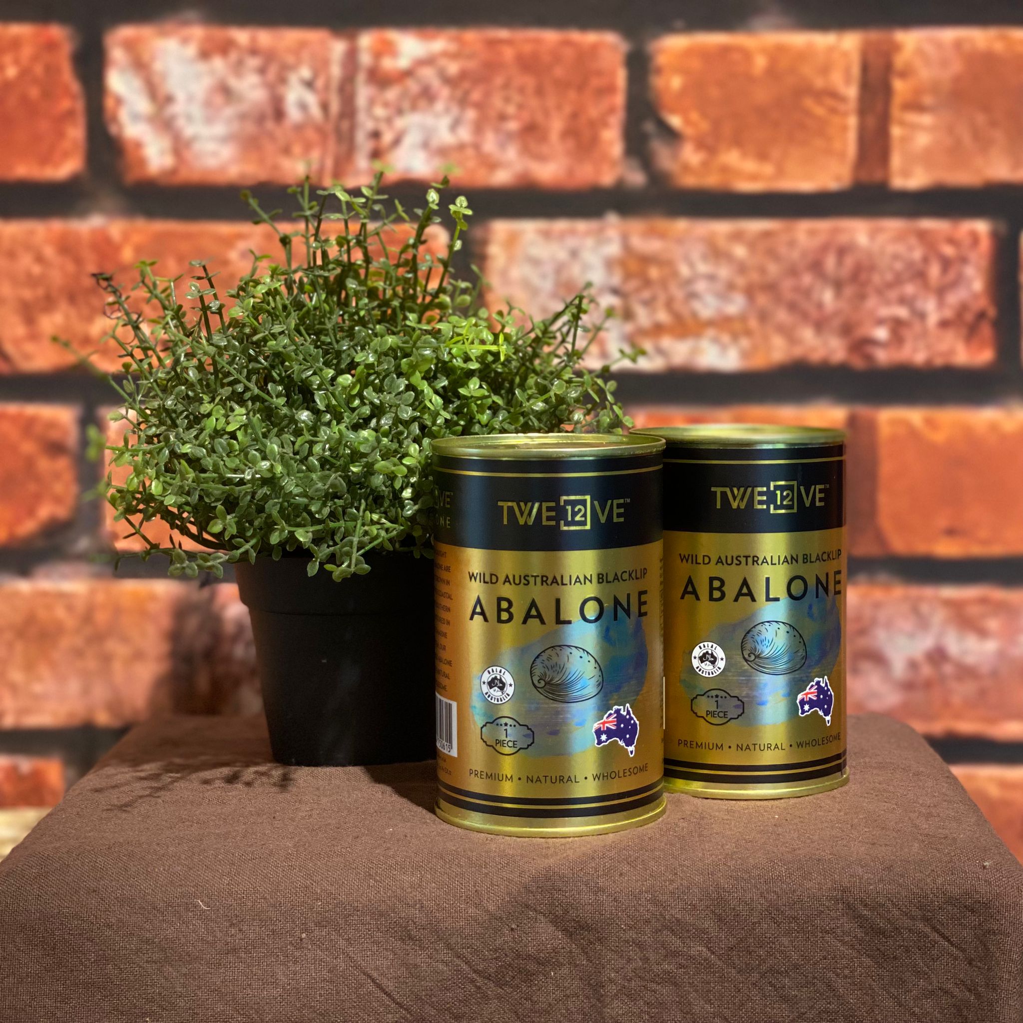Abalone 2 cans | Vegetable Wholesaler | CCL IMPEX